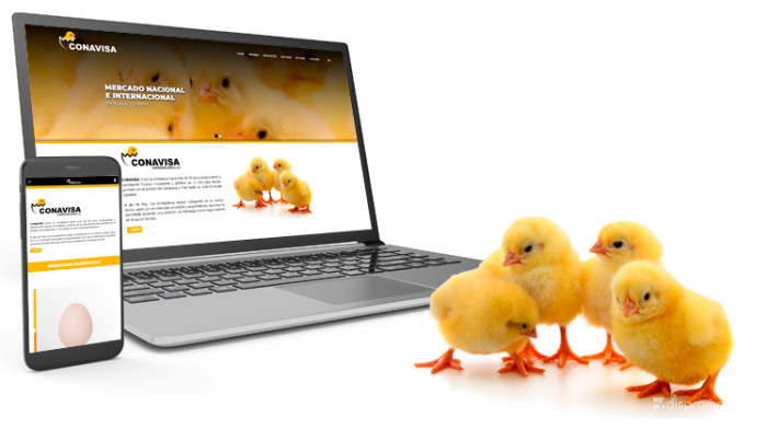 CONAVISA renews its website