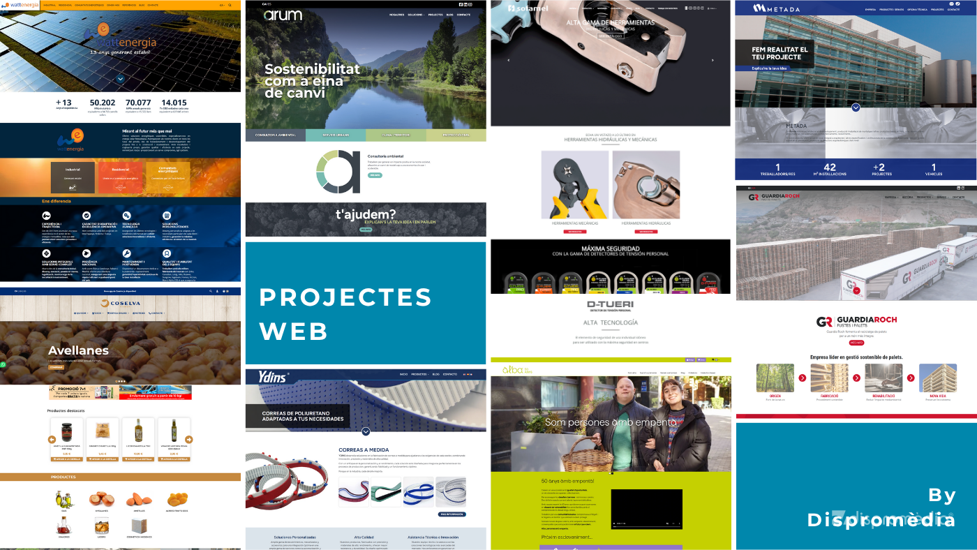 Ebasnet: your trusted km 0 web CMS