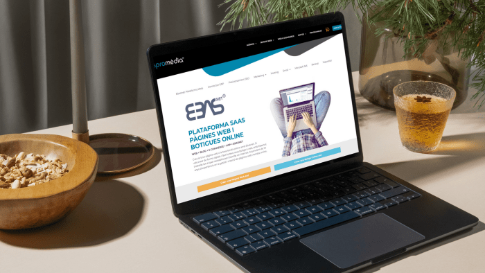 Servicio SaaS vs hosting ordinario